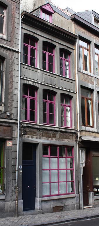 Le Chat Maudit De Maryse Villa Liege Exterior photo